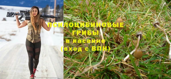spice Абдулино