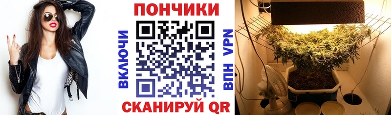 Каннабис гибрид наркота Зверево